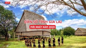 Dân số tỉnh Gia Lai