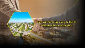 Dịch vụ thành lập công ty TNHH 1 thành viên tại Vĩnh Phúc
