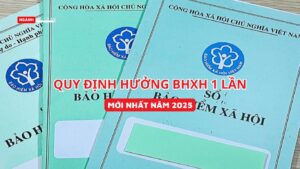 Quy định hưởng BHXH 1 lần mới nhất 2025