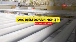 Đặc điểm doanh nghiệp EPE là gì ?