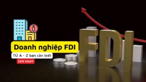 Doanh nghiệp FDI