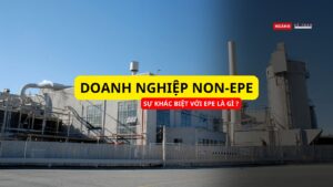 Doanh nghiệp Non-EPE