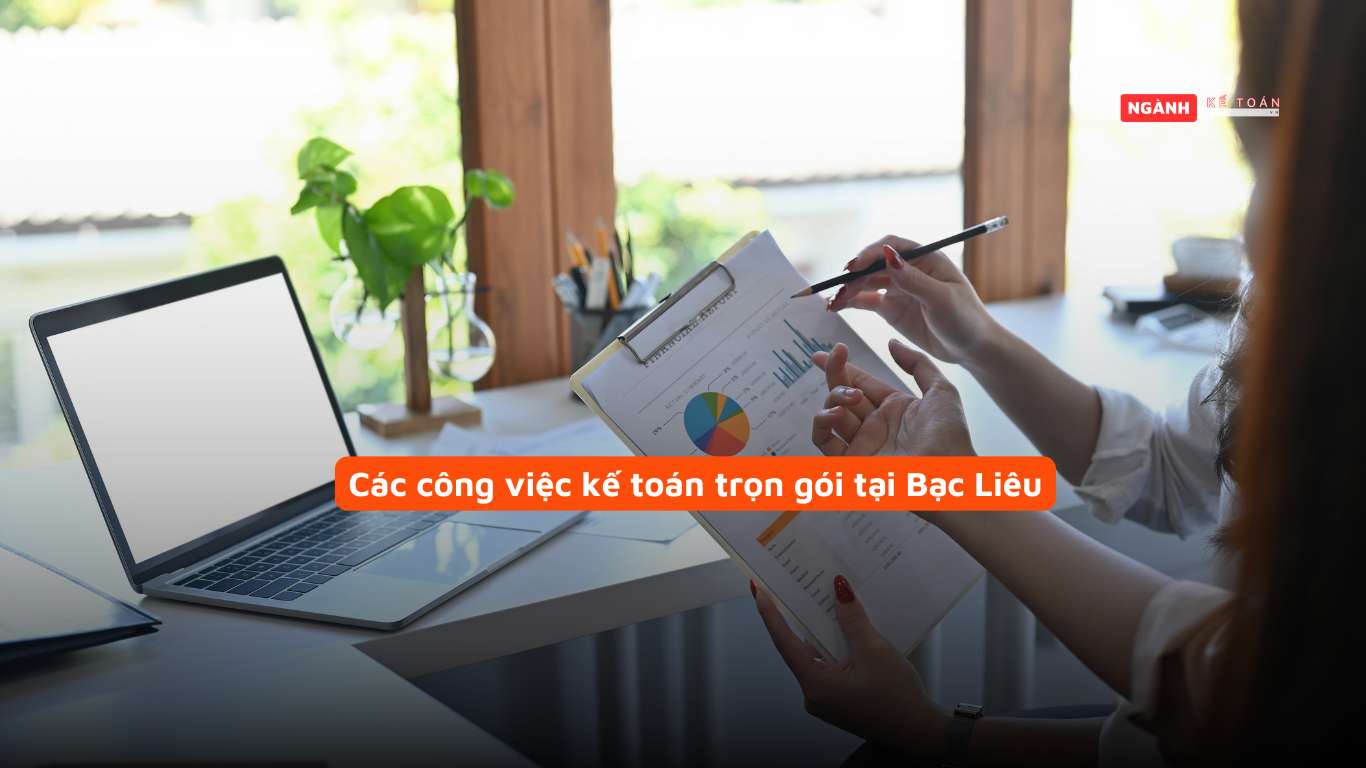 Các công việc kế toán trọn gói tại Bạc Liêu Các công việc kế toán trọn gói tại Bạc Liêu