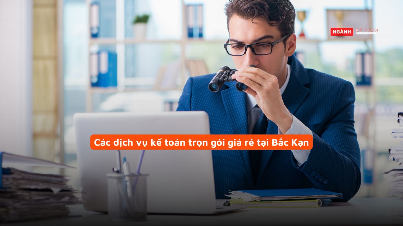 Các dịch vụ kế toán trọn gói giá rẻ tại Bắc Kạn