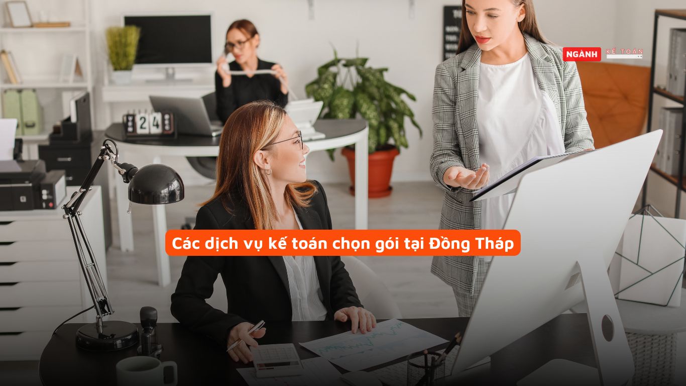 Các dịch vụ kế toán chọn gói tại Đồng Tháp Các dịch vụ kế toán chọn gói tại Đồng Tháp