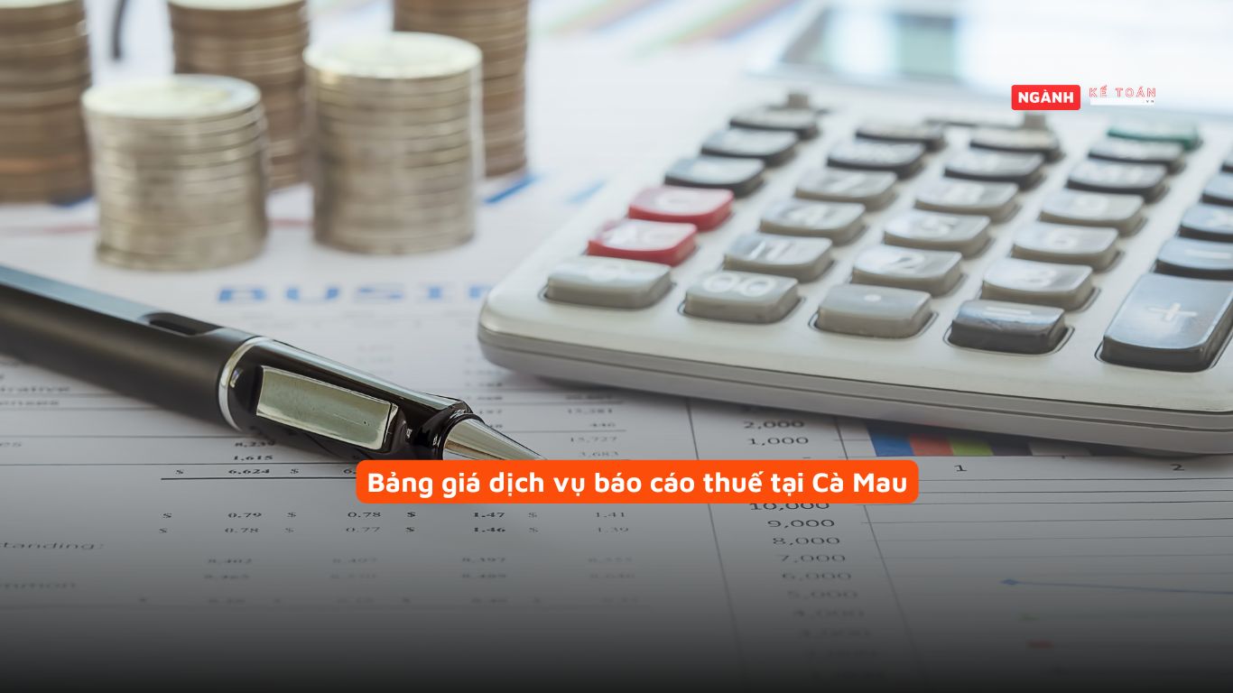 Bảng giá dịch vụ báo cáo thuế tại Cà Mau