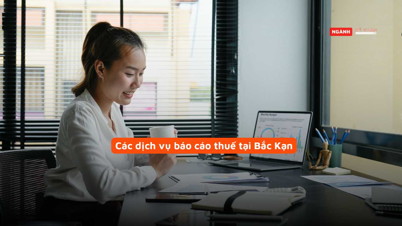 Các dịch vụ báo cáo thuế tại Bắc Kạn
