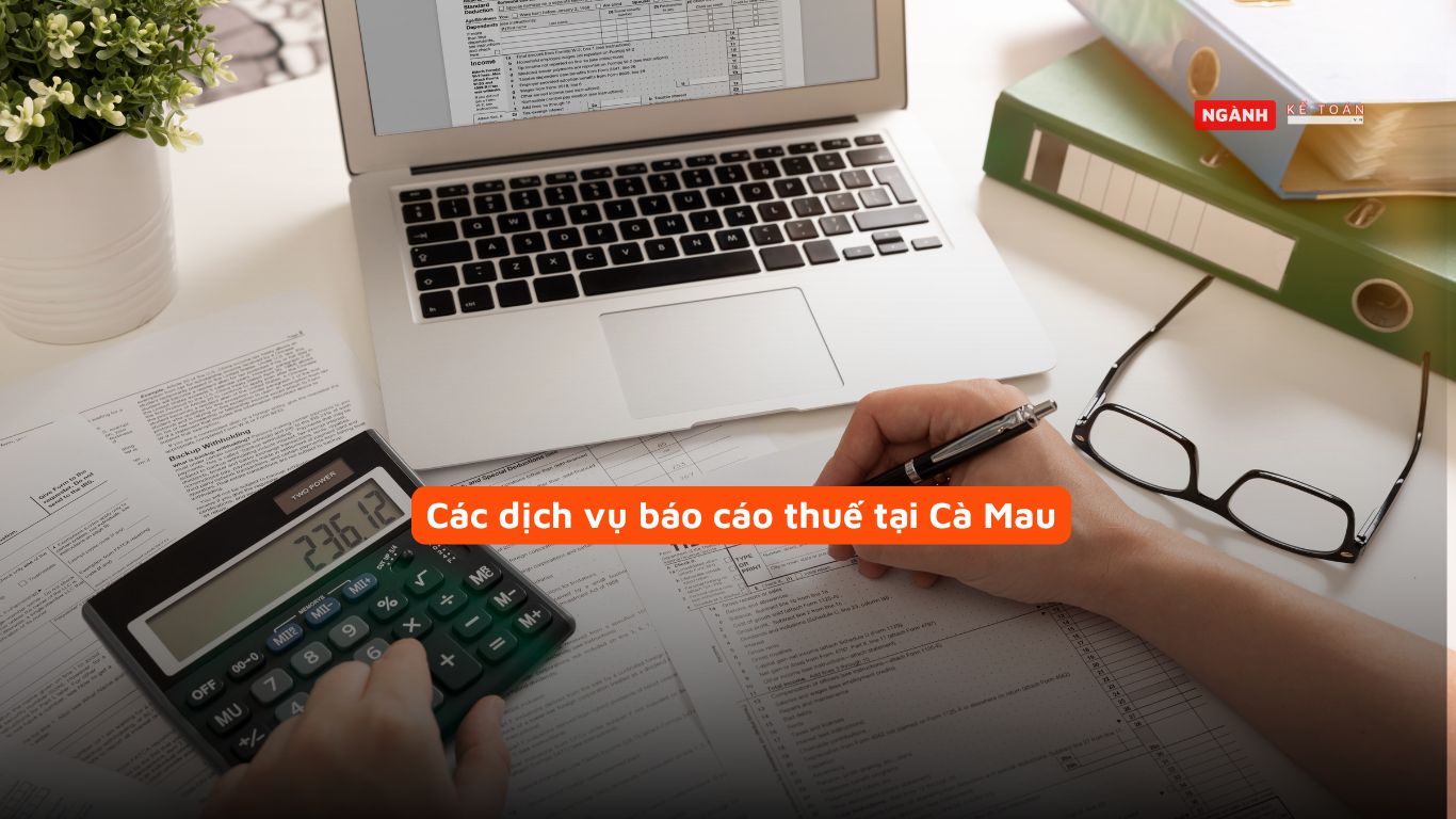 Các dịch vụ báo cáo thuế tại Cà Mau