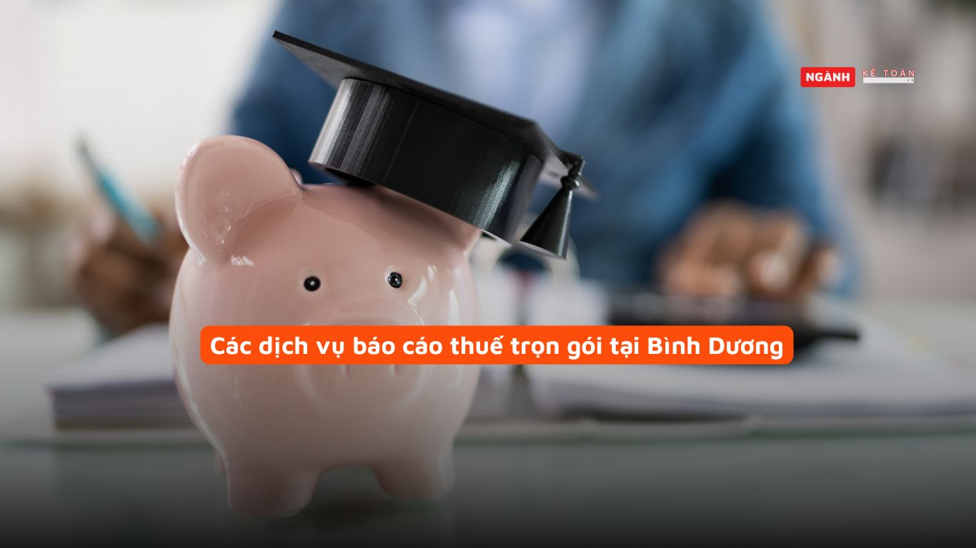 Các dịch vụ báo cáo thuế trọn gói tại Bình Dương Các dịch vụ báo cáo thuế trọn gói tại Bình Dương