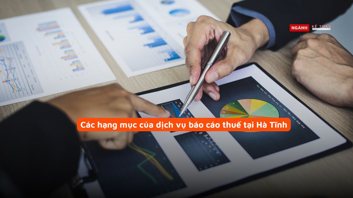Các hạng mục của dịch vụ báo cáo thuế tại Hà Tĩnh