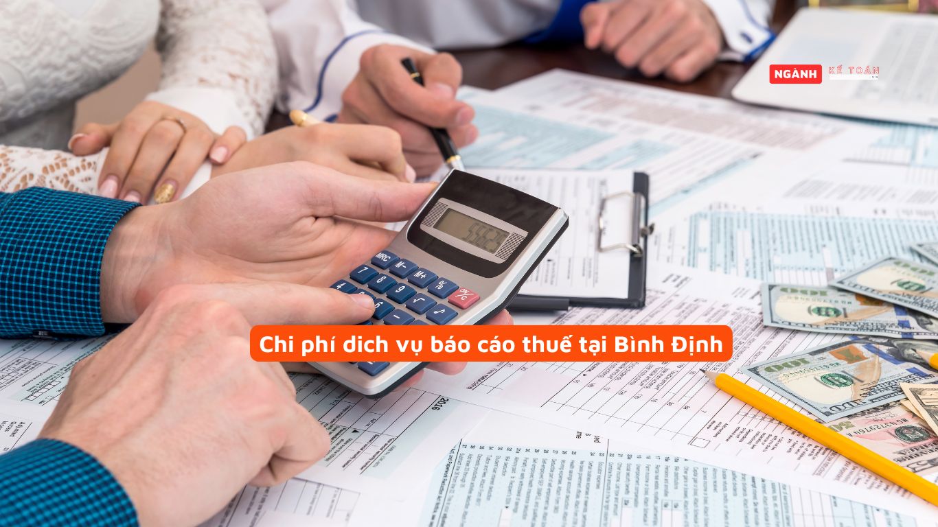 Chi phí dich vụ báo cáo thuế tại Bình Định