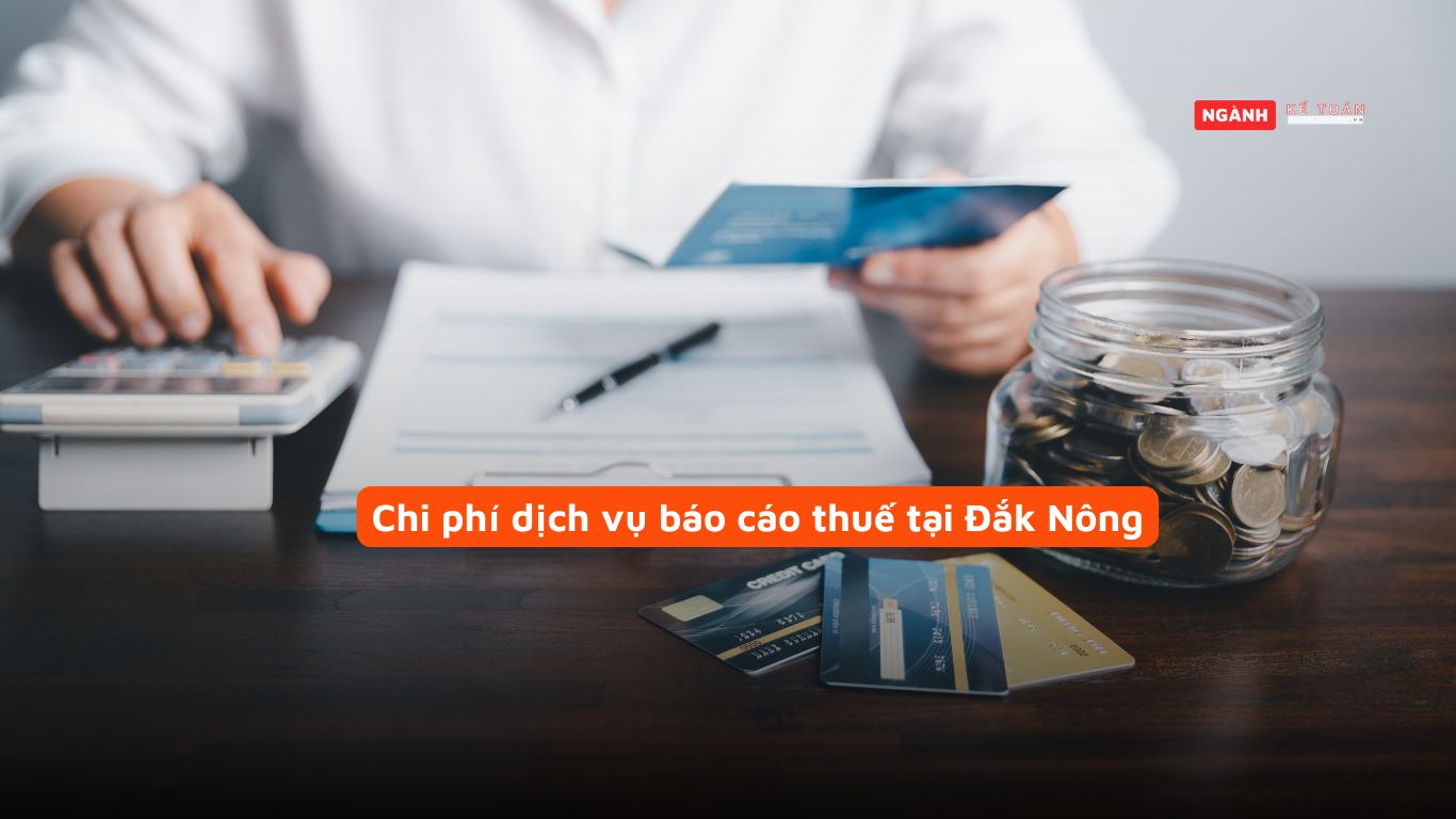 Chi phí dịch vụ báo cáo thuế tại Đắk Nông