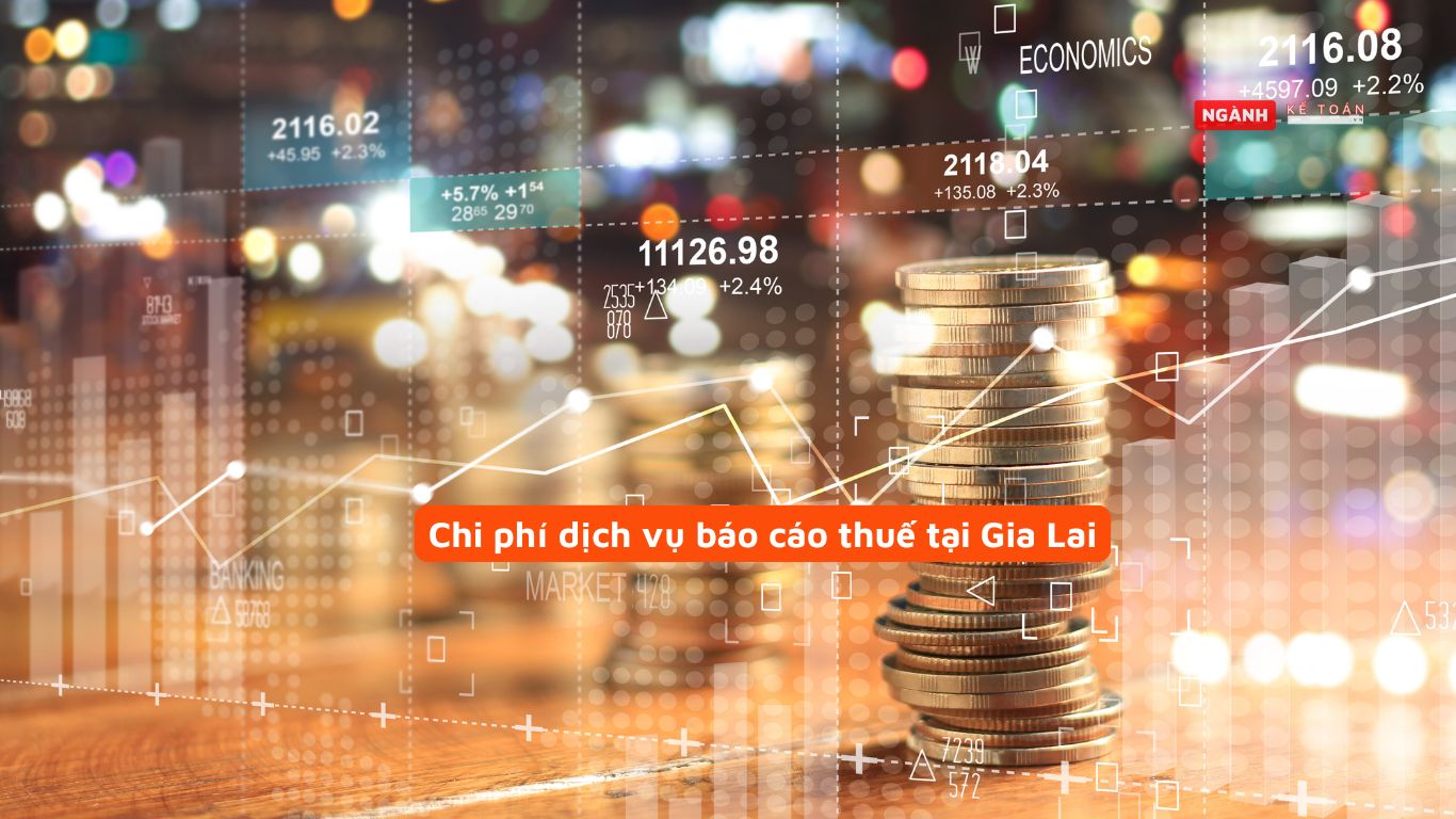 Chi phí dịch vụ báo cáo thuế tại Gia Lai