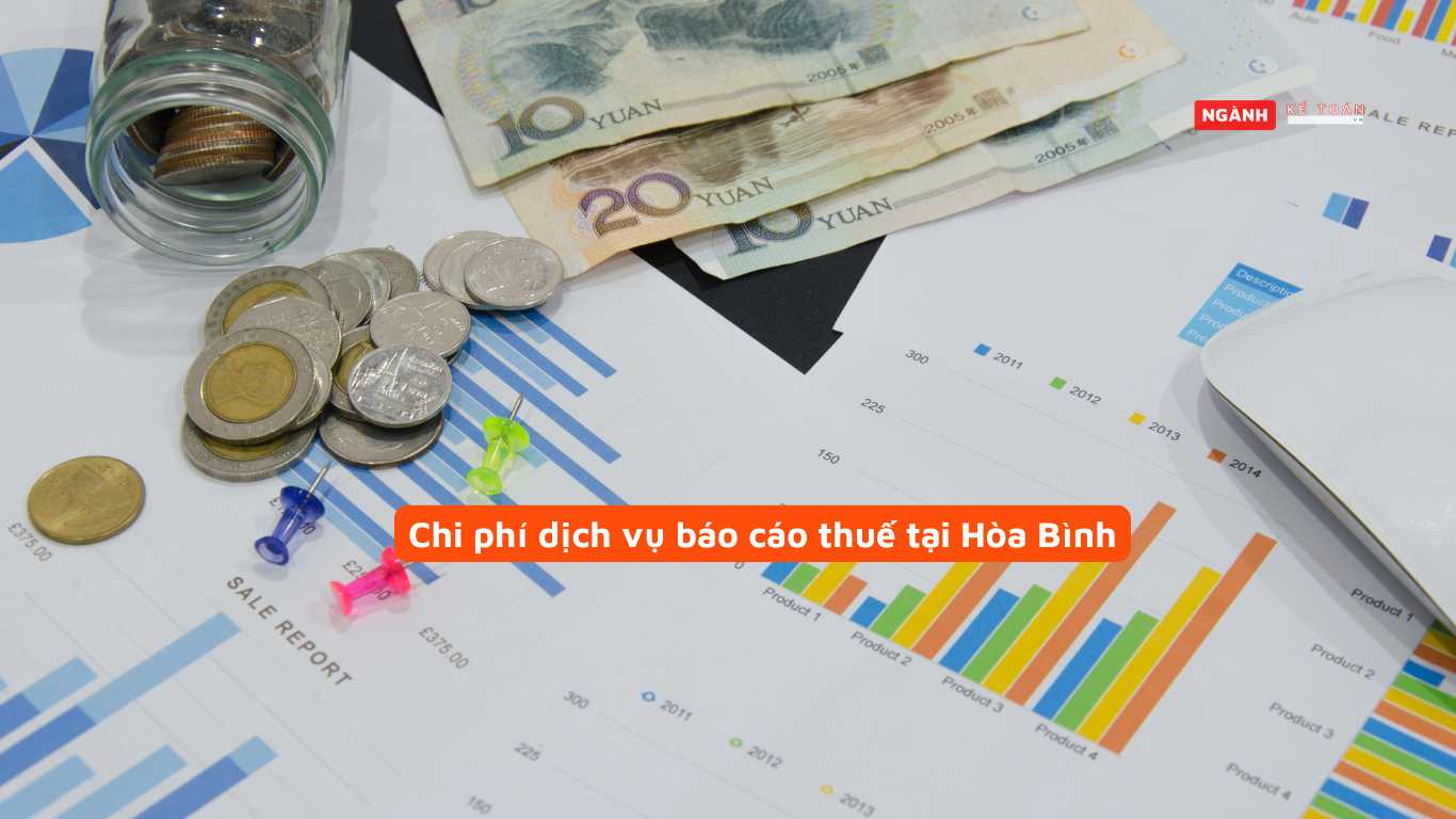 Chi phí dịch vụ báo cáo thuế tại Hòa Bình