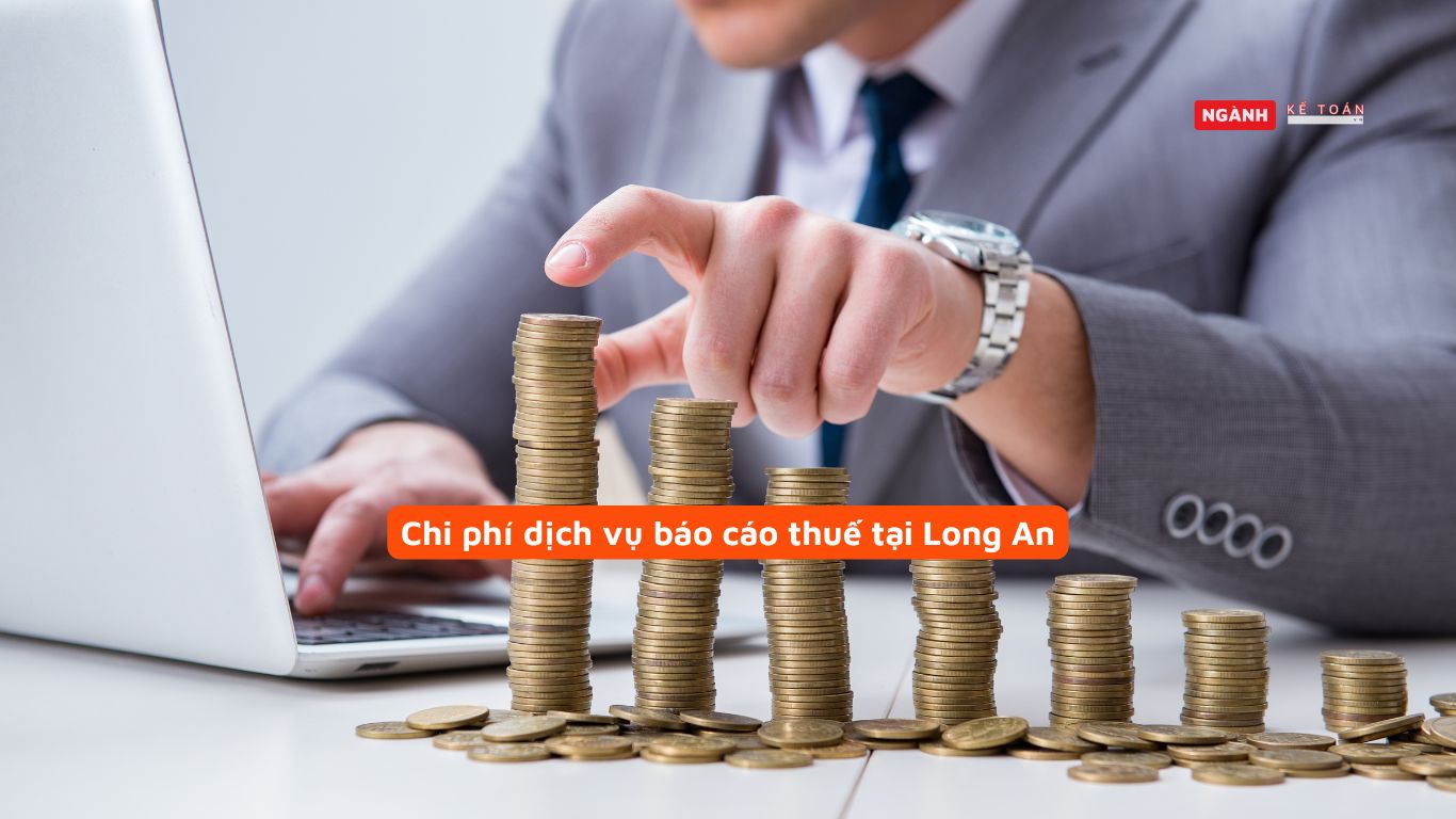 Chi phí dịch vụ báo cáo thuế tại Long An