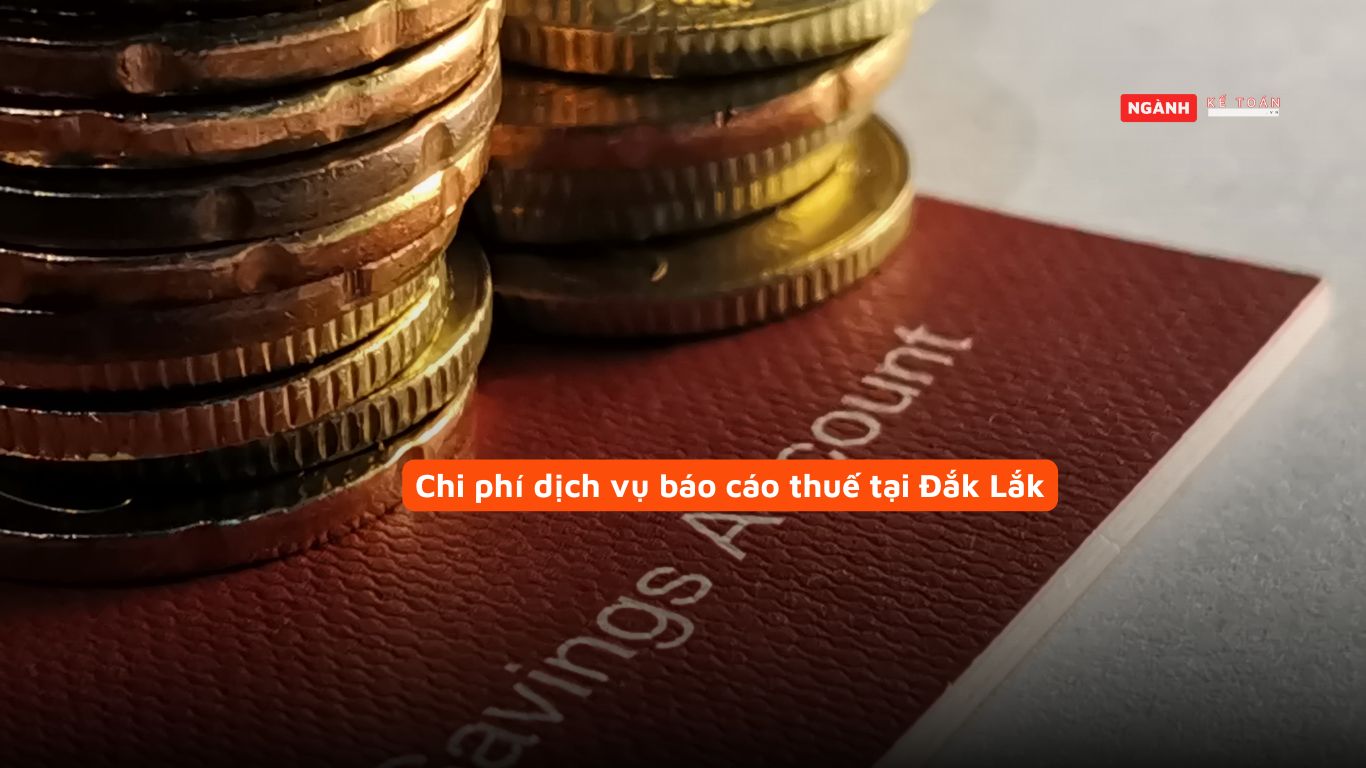 Chi phí dịch vụ báo cáo thuế tại Đắk Lắk