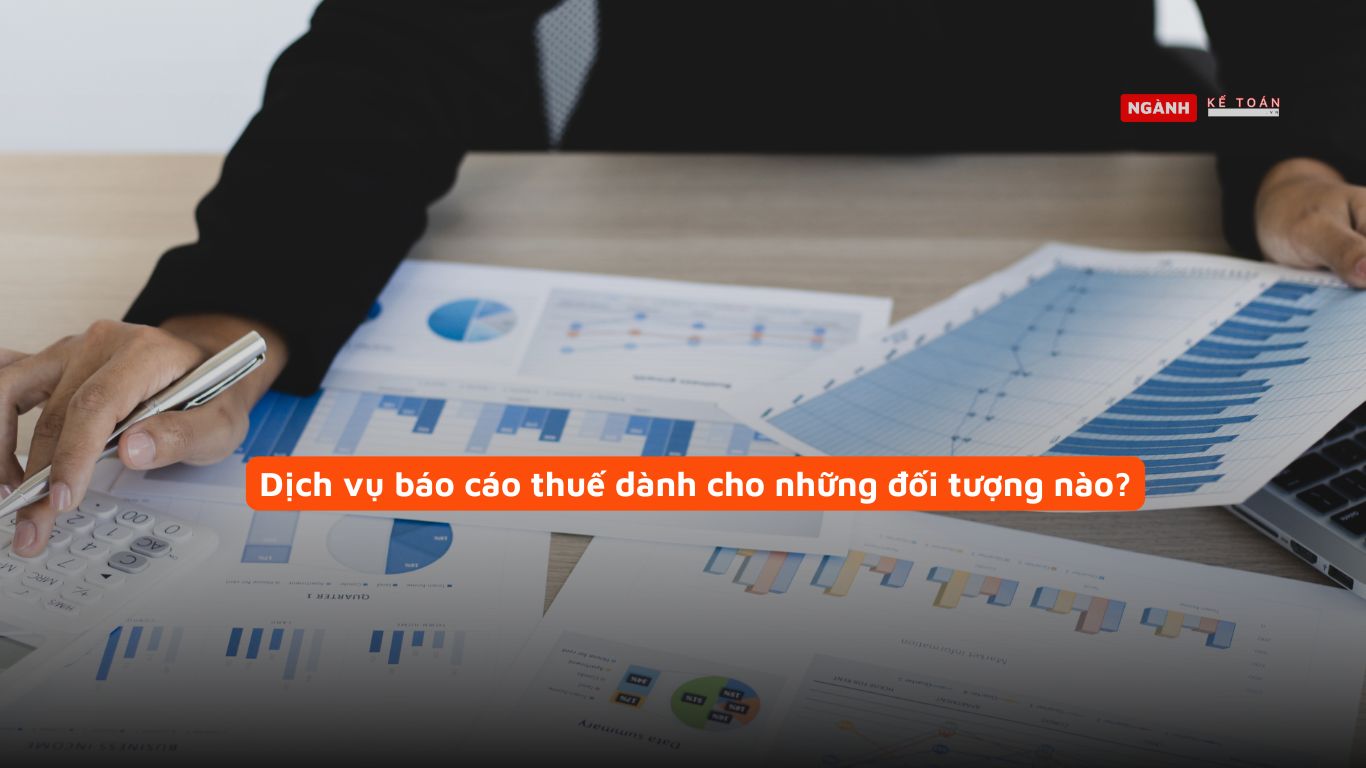 Dịch vụ báo cáo thuế dành cho những đối tượng nào?