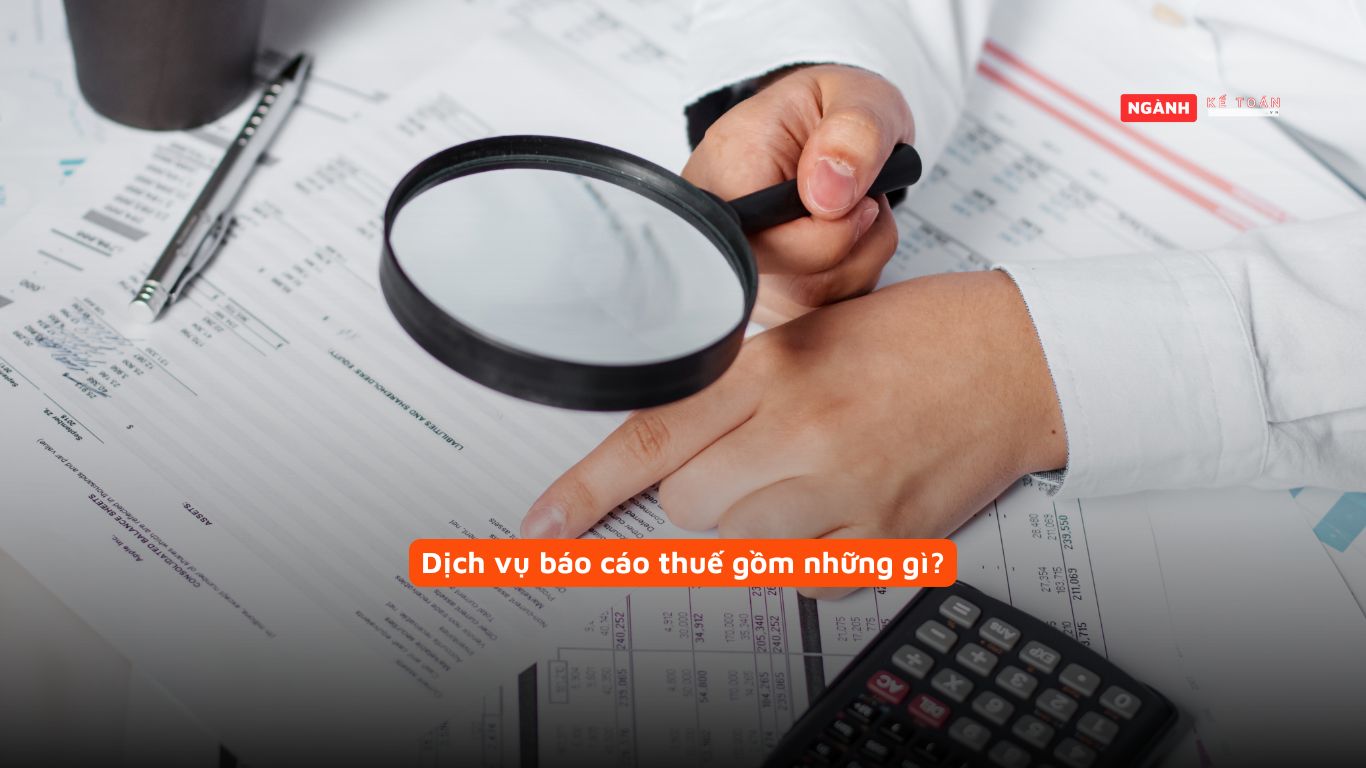 Dịch vụ báo cáo thuế gồm những gì?