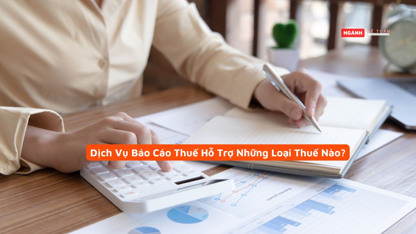 Dịch Vụ Báo Cáo Thuế Hỗ Trợ Những Loại Thuế Nào?