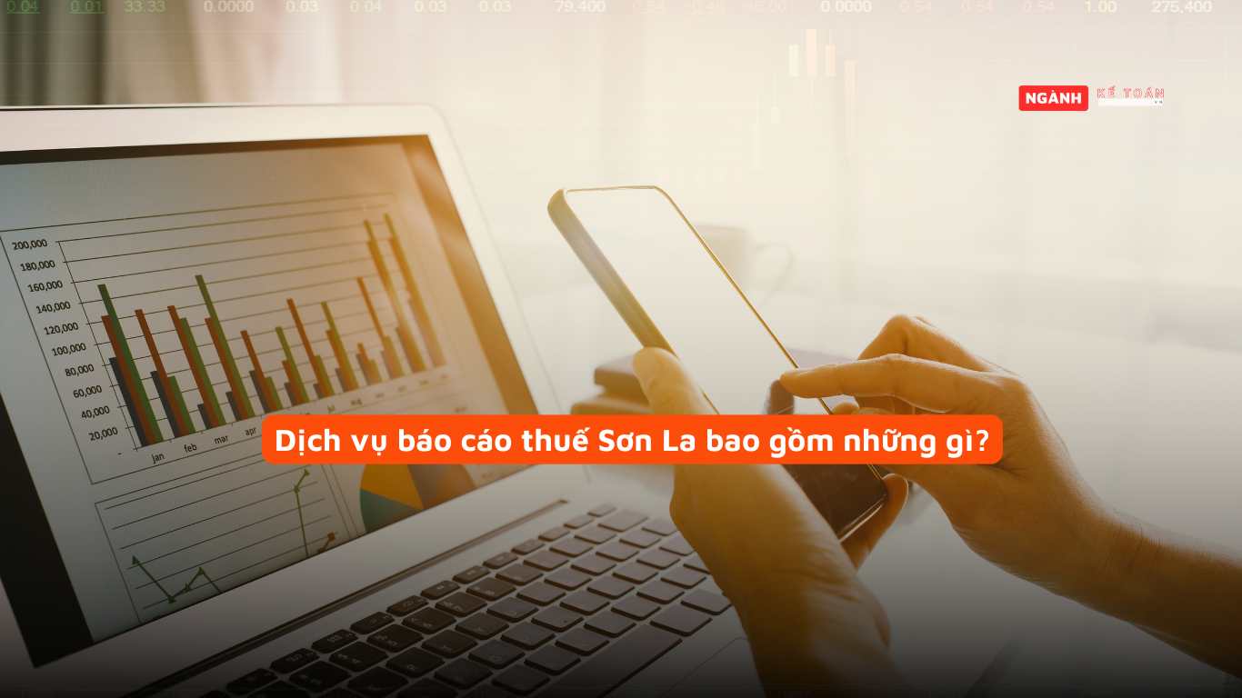 Dịch vụ báo cáo thuế Sơn La bao gồm những gì?