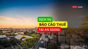 Dịch vụ báo cáo thuế tại An Giang