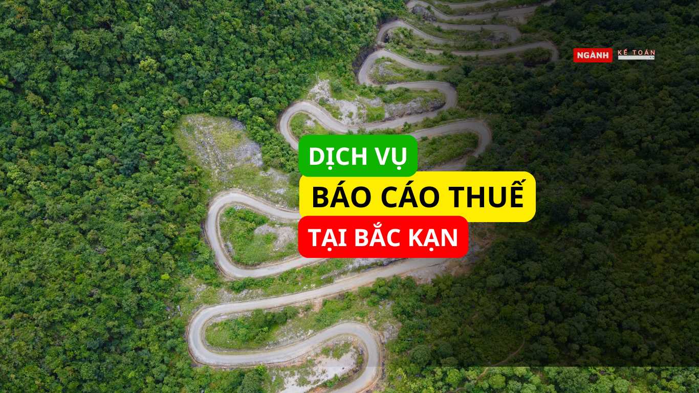 dịch vụ báo cáo thuế tại Bắc Kạn