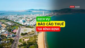 Dịch vụ báo cáo thuế tại Bình Định