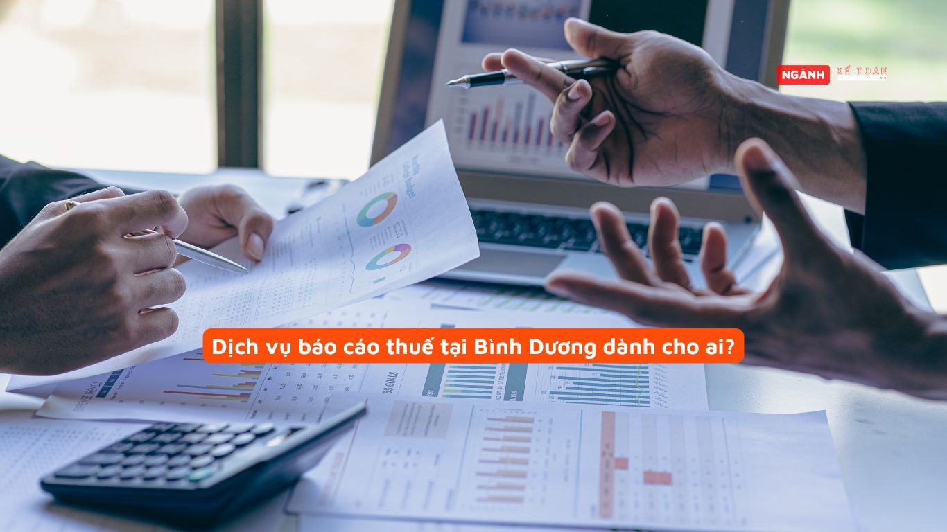 Dịch vụ báo cáo thuế Bình Dương dành cho ai? Dịch vụ báo cáo thuế Bình Dương dành cho ai?