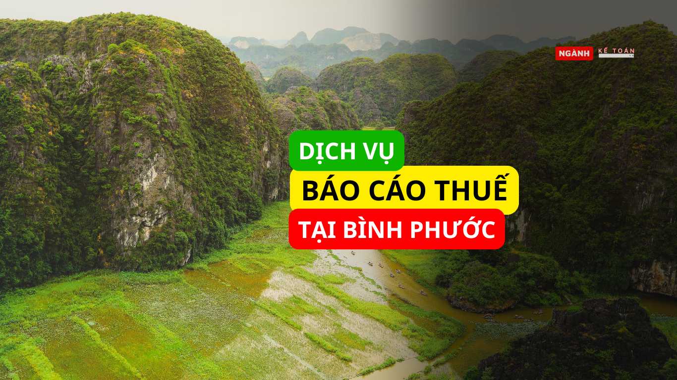 Dịch vụ báo cáo thuế tại Bình Phước