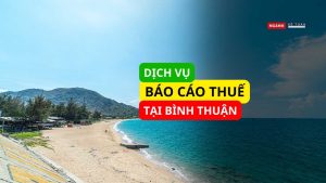 Dịch vụ báo cáo thuế tại Bình Thuận