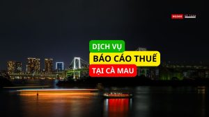Dịch vụ báo cáo thuế tại Cà Mau