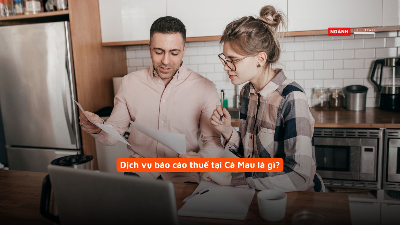 Dịch vụ báo cáo thuế tại Cà Mau là gì?