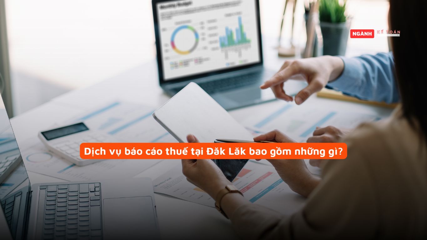 Dịch vụ báo cáo thuế tại Đăk Lăk bao gồm những gì?