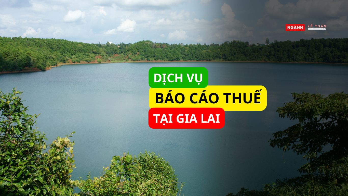 Dịch vụ báo cáo thuế tại Gia Lai