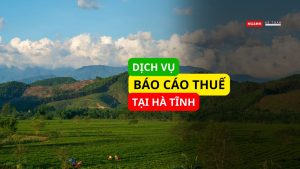 Dịch vụ báo cáo thuế tại Hà Tĩnh