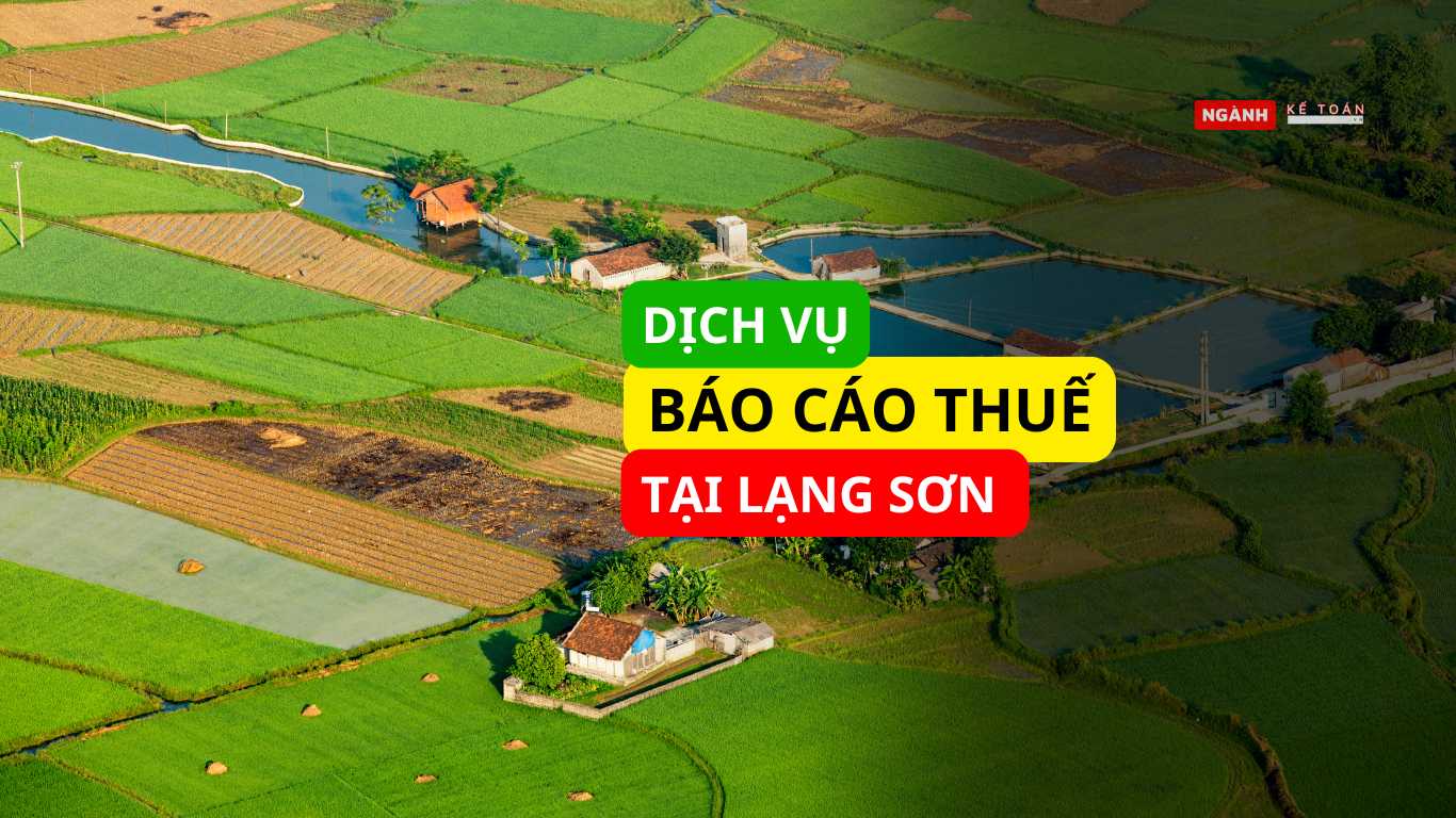 dịch vụ báo cáo thuế tại lạng sơn dịch vụ báo cáo thuế tại lạng sơn