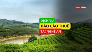 Dịch vụ báo cáo thuế tại Nghệ An