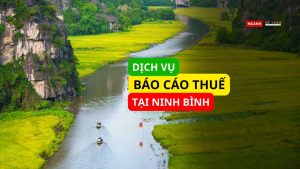 Dịch vụ báo cáo thuế tại Ninh Bình