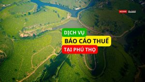 Dịch vụ báo cáo thuế tại Phú Thọ