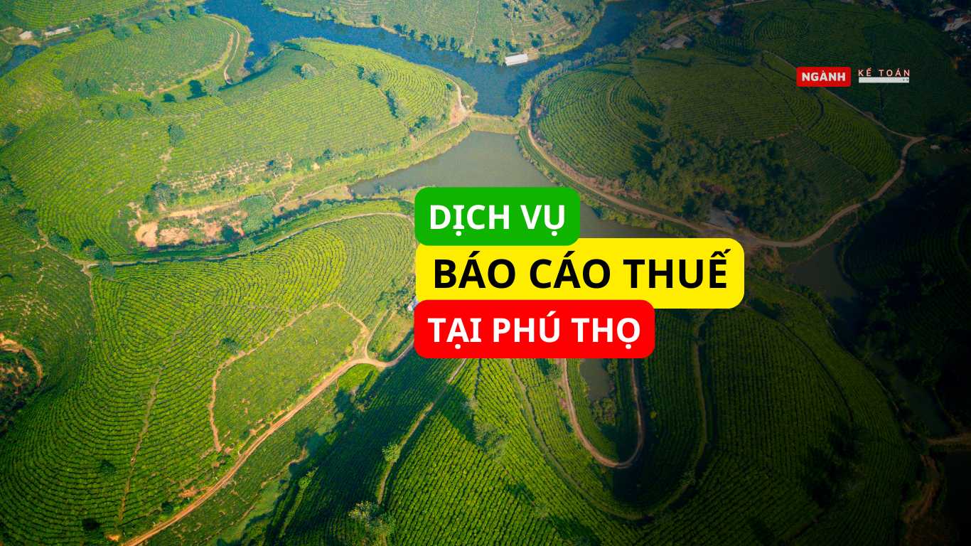 Dịch vụ báo cáo thuế tại Phú Thọ