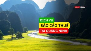 Dịch vụ báo cáo thuế tại Quảng Ninh