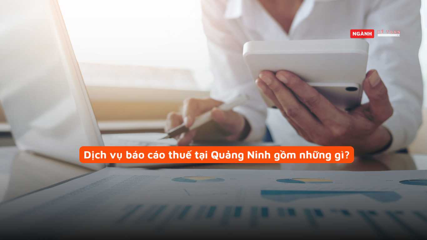 Dịch vụ báo cáo thuế tại Quảng Ninh gồm những gì