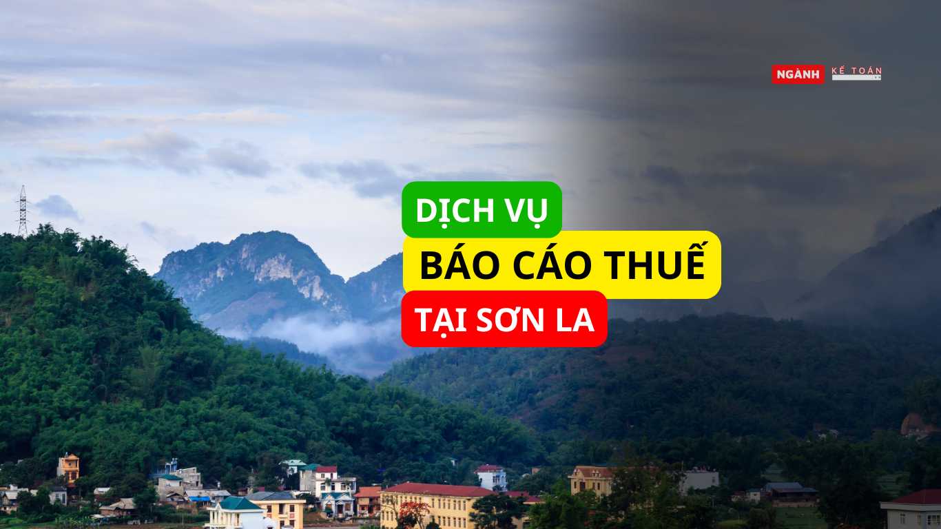 dịch vụ báo cáo thuế tại Sơn La