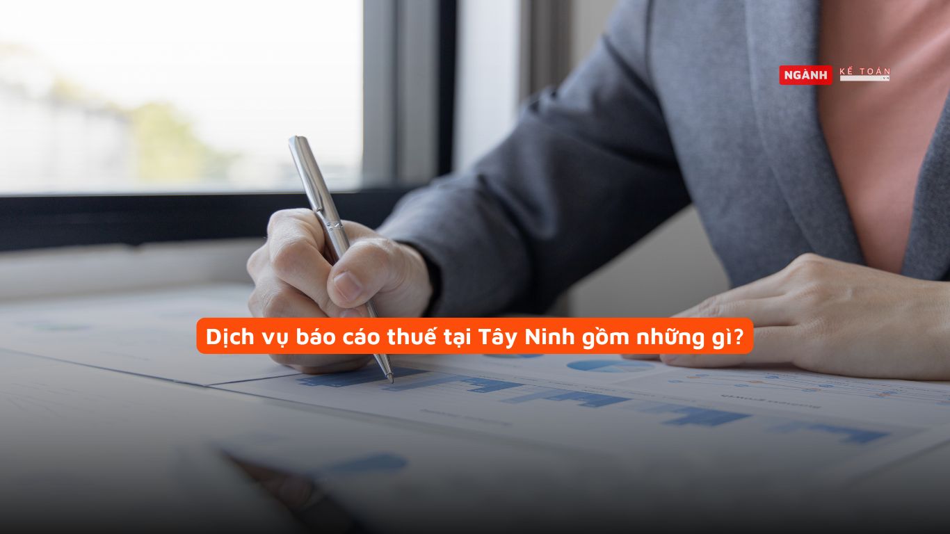 Dịch vụ báo cáo thuế tại Tây Ninh gồm những gì?