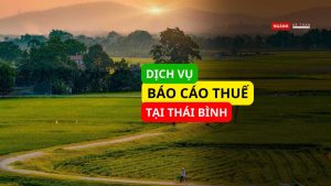 dịch vụ báo cáo thuế tại Thái Bình