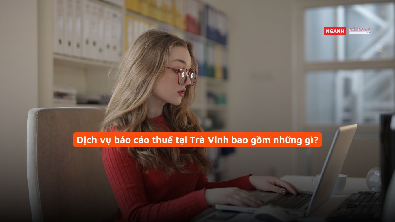 Dịch vụ báo cáo thuế tại Trà Vinh bao gồm những gì?