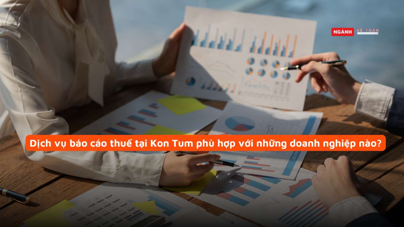Dịch vụ báo cáo thuế tại Kon Tum phù hợp với những doanh nghiệp nào?