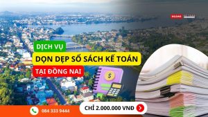 Dọn dẹp sổ sách kế toán Đồng Nai