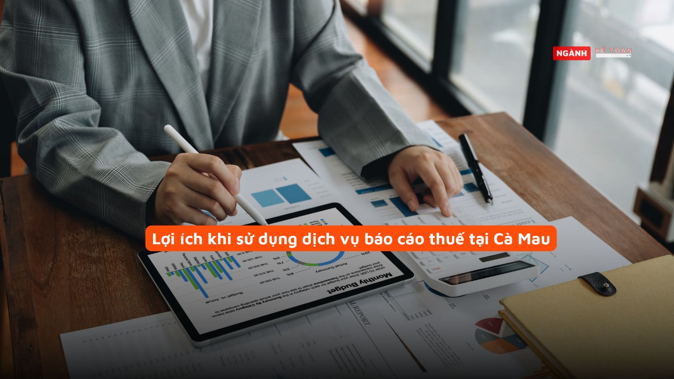 Lợi ích khi sử dụng dịch vụ báo cáo thuế tại Cà Mau