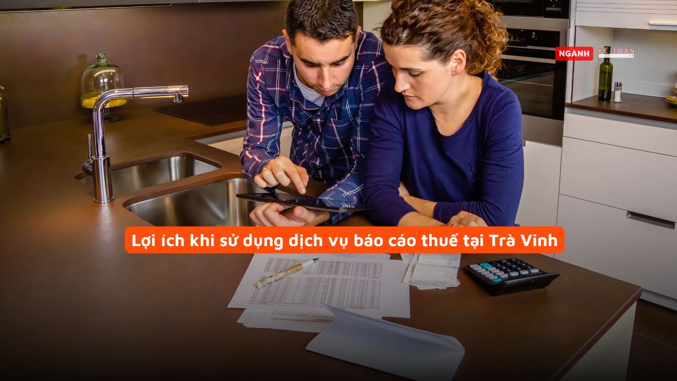 Lợi ích khi sử dụng dịch vụ báo cáo thuế tại Trà Vinh